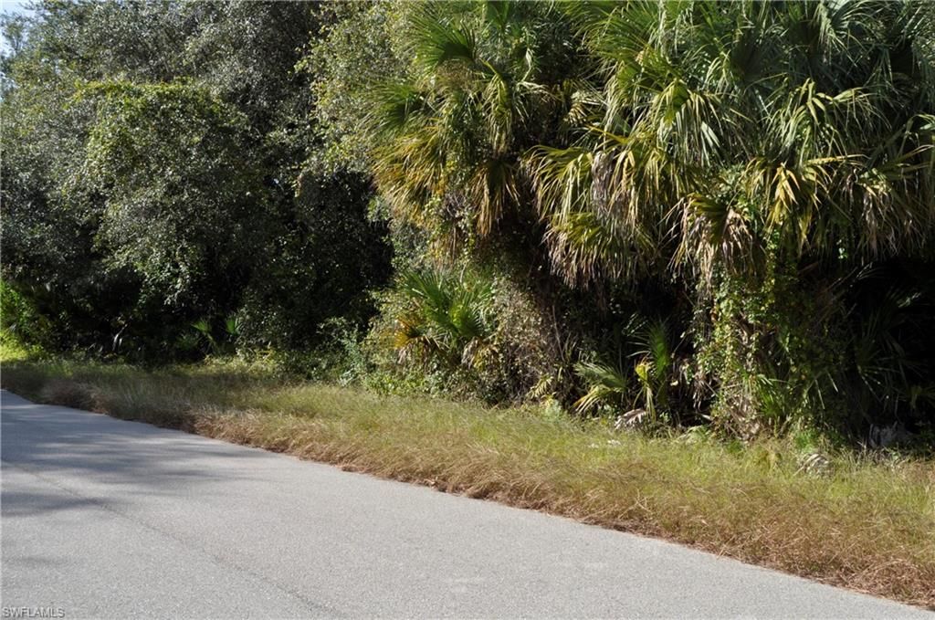 1013 Anderson ST, LEHIGH ACRES, FL 33974 — photo 3