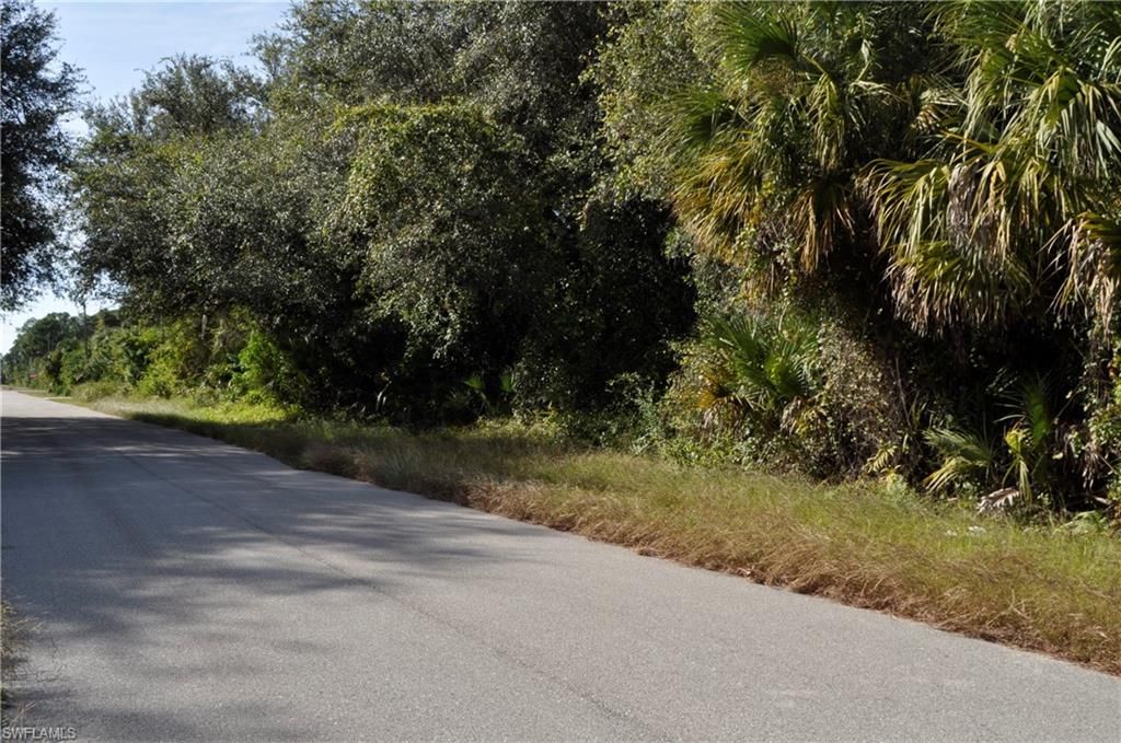 1013 Anderson ST, LEHIGH ACRES, FL 33974 — photo 4