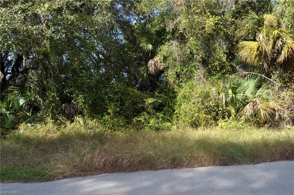1013 Anderson ST, LEHIGH ACRES, FL 33974 — photo 5