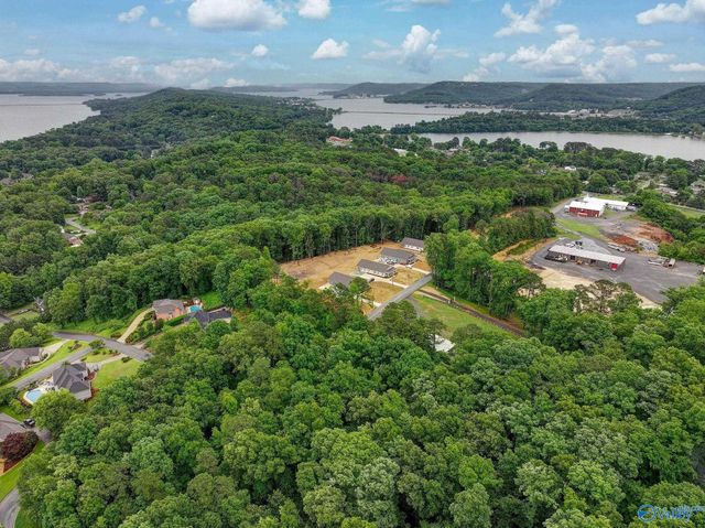 2092 Browns Valley Road, Guntersville, AL 35976
