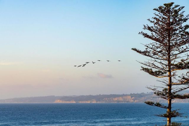 939 Coast Blvd 4A, La Jolla, CA 92037