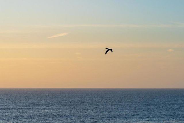 939 Coast Blvd 4A, La Jolla, CA 92037