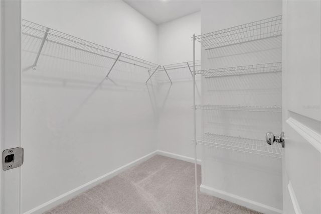 275 PUMA LOOP, Groveland, FL 34736