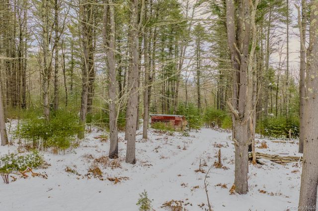 1124 State Route 42, Sparrowbush, NY 12780