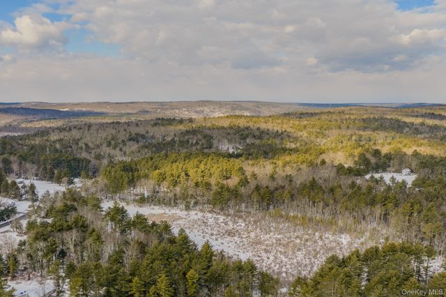 1124 State Route 42, Sparrowbush, NY 12780