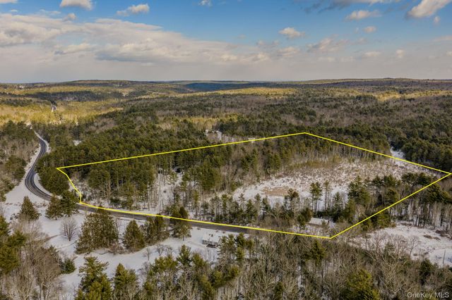 1124 State Route 42, Sparrowbush, NY 12780