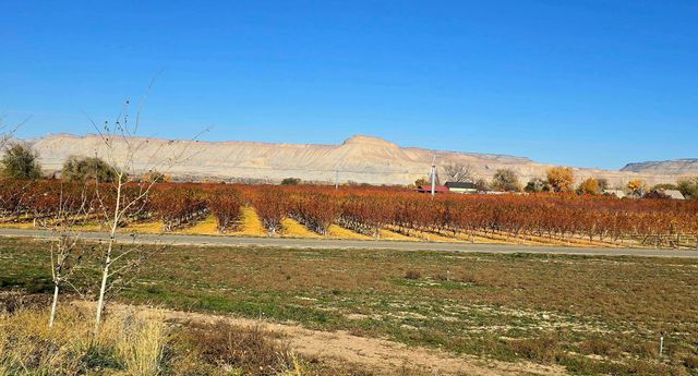 3365 C Road, Palisade, CO 81526