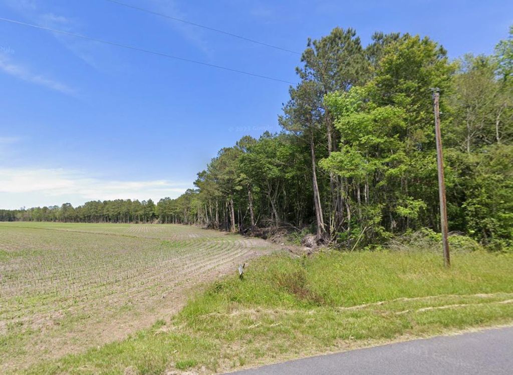 Image 1 of property listing at 0 MT OLIVE CHURCH RD, Snow Hill, MD 21863