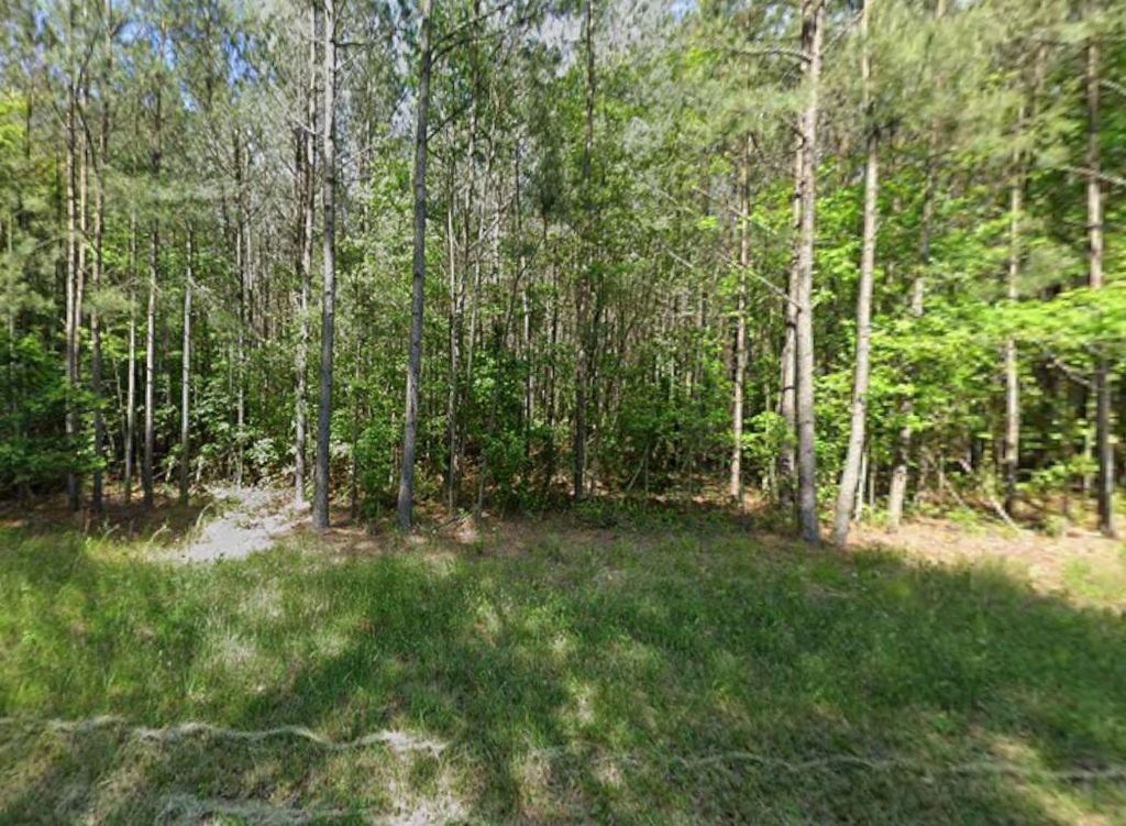 Image 2 of property listing at 0 MT OLIVE CHURCH RD, Snow Hill, MD 21863