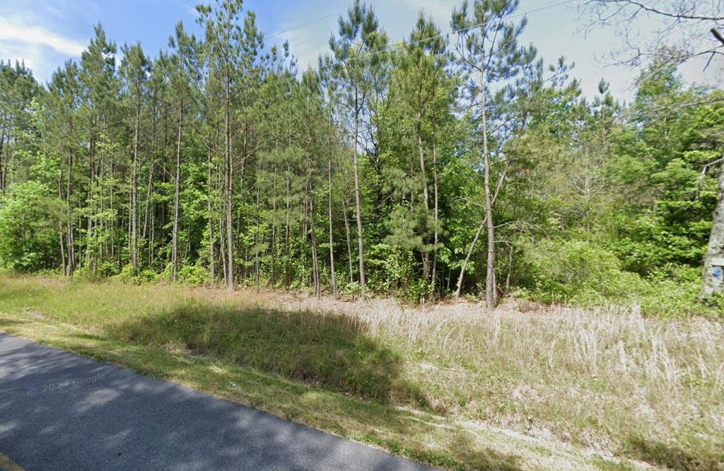 Image 3 of property listing at 0 MT OLIVE CHURCH RD, Snow Hill, MD 21863