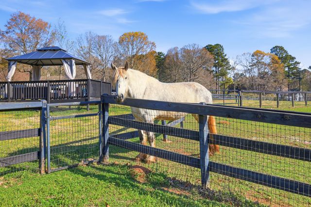 3725 Lone Oak Drive, Aiken, SC 29803