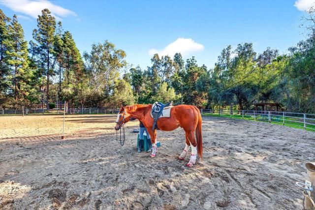 916 Mimosa, Vista, CA 92081