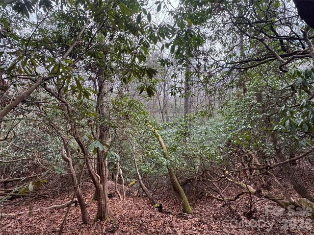 000 Falls Creek Court, Pisgah Forest, NC 28768