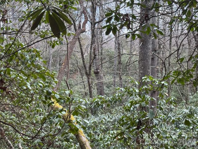 000 Falls Creek Court, Pisgah Forest, NC 28768