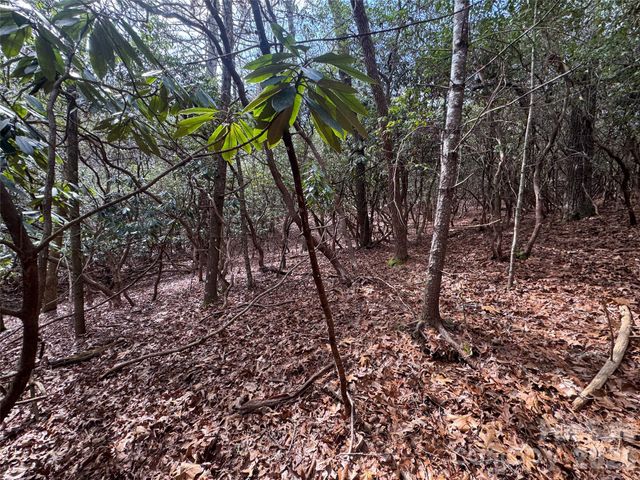 000 Falls Creek Court, Pisgah Forest, NC 28768