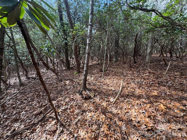 000 Falls Creek Court, Pisgah Forest, NC 28768