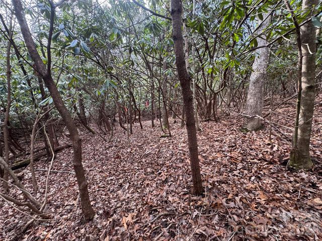 000 Falls Creek Court, Pisgah Forest, NC 28768