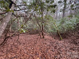 000 Falls Creek Court, Pisgah Forest, NC 28768