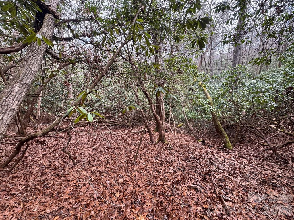 000 Falls Creek Court, Pisgah Forest, NC 28768