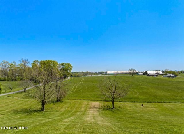 2041 Witt Rd, White Pine, TN 37890