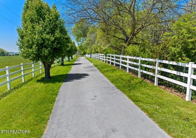 2041 Witt Rd, White Pine, TN 37890