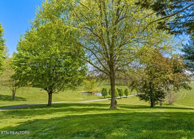 2041 Witt Rd, White Pine, TN 37890