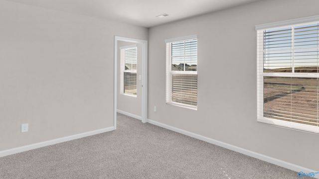 134 Nettle Leaf Drive, Meridianville, AL 35759