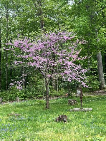 8482 S Cypress Avenue, Newaygo, MI 49337