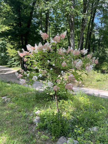 8482 S Cypress Avenue, Newaygo, MI 49337