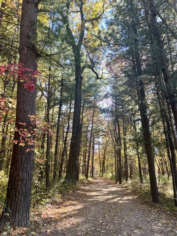 8482 S Cypress Avenue, Newaygo, MI 49337