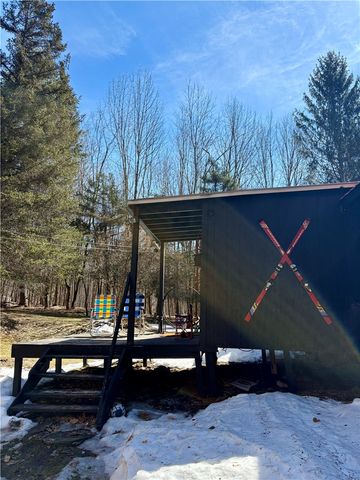 66 Blackberry Lane, Andes, NY 13731