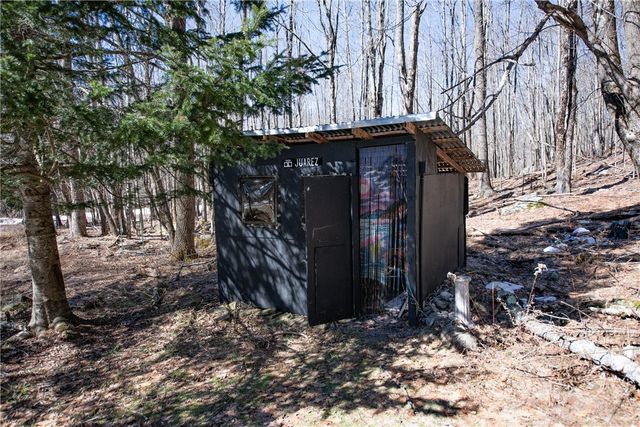 66 Blackberry Lane, Andes, NY 13731