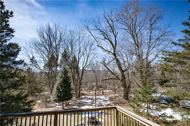 66 Blackberry Lane, Andes, NY 13731