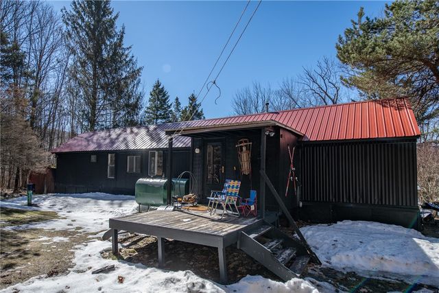 66 Blackberry Lane, Andes, NY 13731