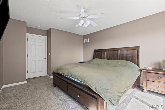 1914 McKinley Range, Festus, MO 63028