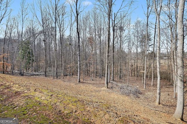 110 Rocky Branch Drive, Murrayville, GA 30564