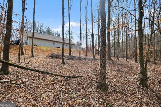 110 Rocky Branch Drive, Murrayville, GA 30564