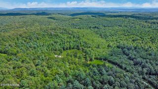 10.77 Acres - Valerie Drive, Deer Lodge, TN 37726