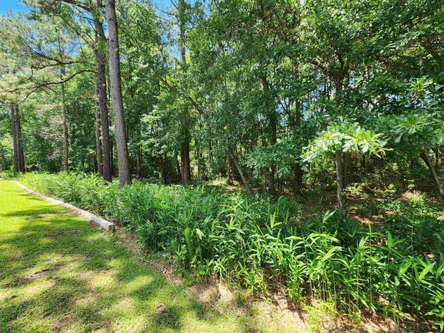 4846 Meadowsweet Dr Apt 1508, Myrtle Beach, SC 29579