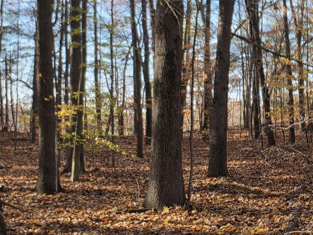 1694 Westview Drive, Allegan, MI 49010