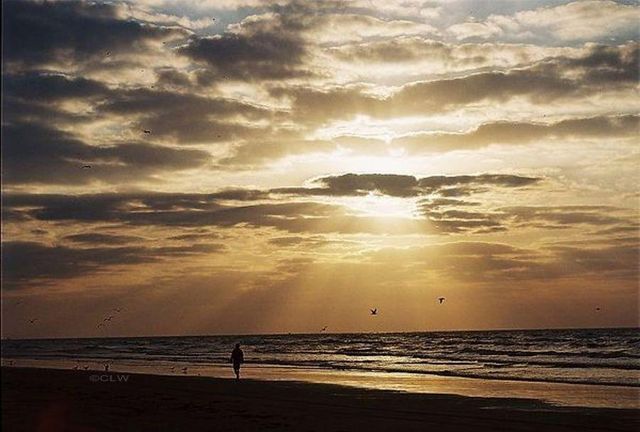 7000 Seawall Boulevard 1022, Galveston, TX 77551