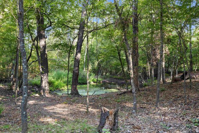 448 Private Road 6685, Hawkins, TX 75765