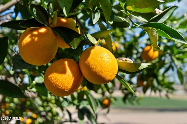 1555 LEISURE WORLD --, Mesa, AZ 85206