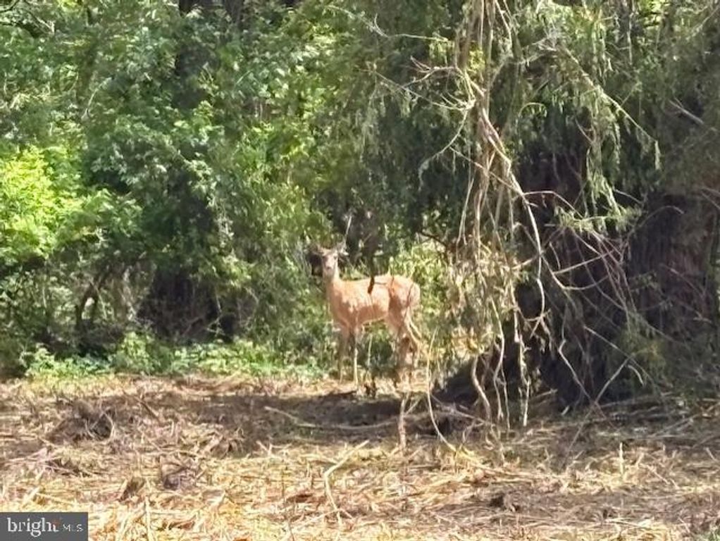 630 MARION ST, Glassboro, NJ 08028