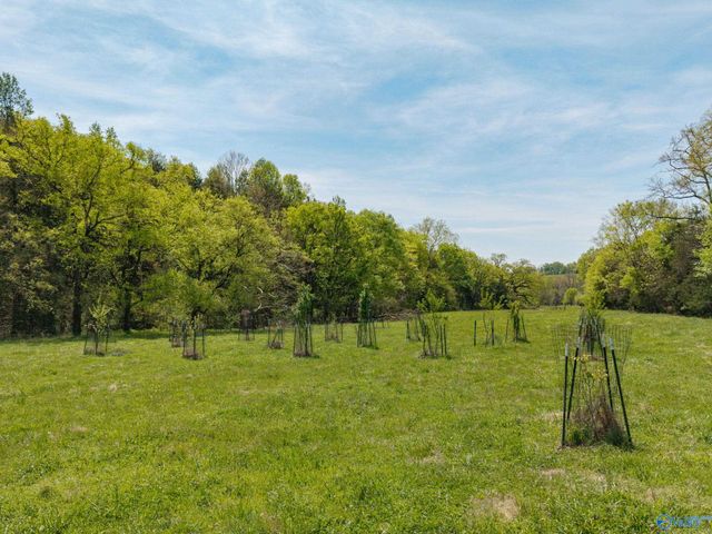 305 Ingram Road, Pulaski, TN 38478