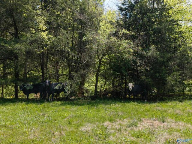 305 Ingram Road, Pulaski, TN 38478