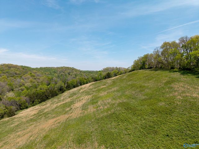305 Ingram Road, Pulaski, TN 38478