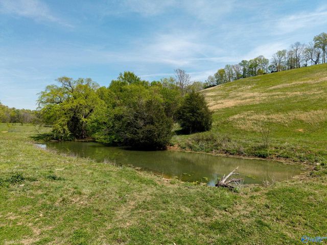 305 Ingram Road, Pulaski, TN 38478