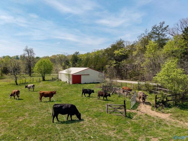 305 Ingram Road, Pulaski, TN 38478