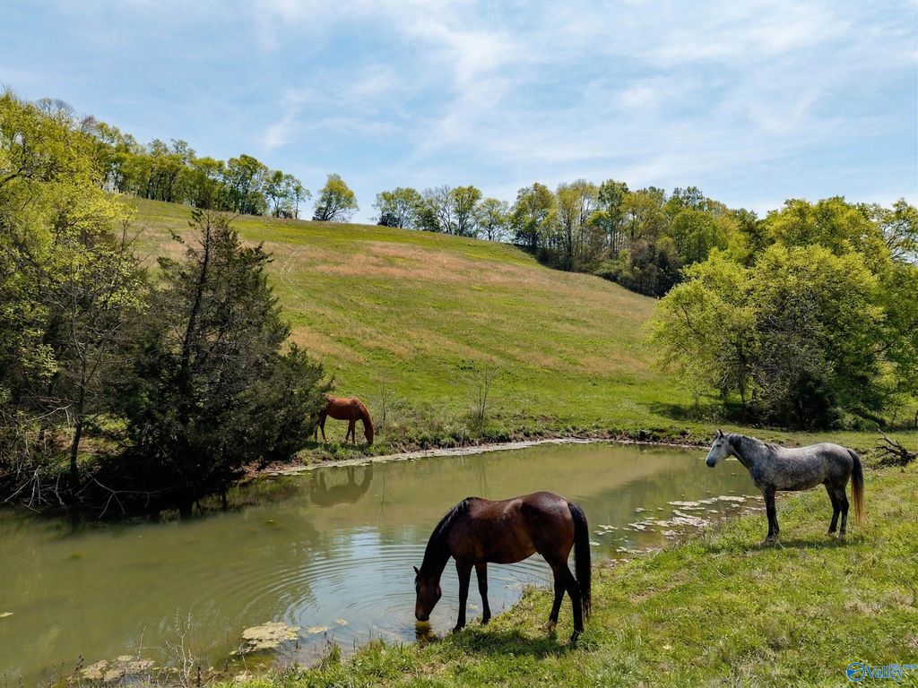 305 Ingram Road, Pulaski, TN 38478